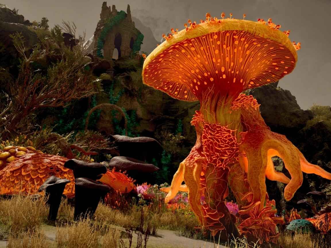 Avowed: Obsidian aposta em liberdade e personalização para iniciar missões do RPG