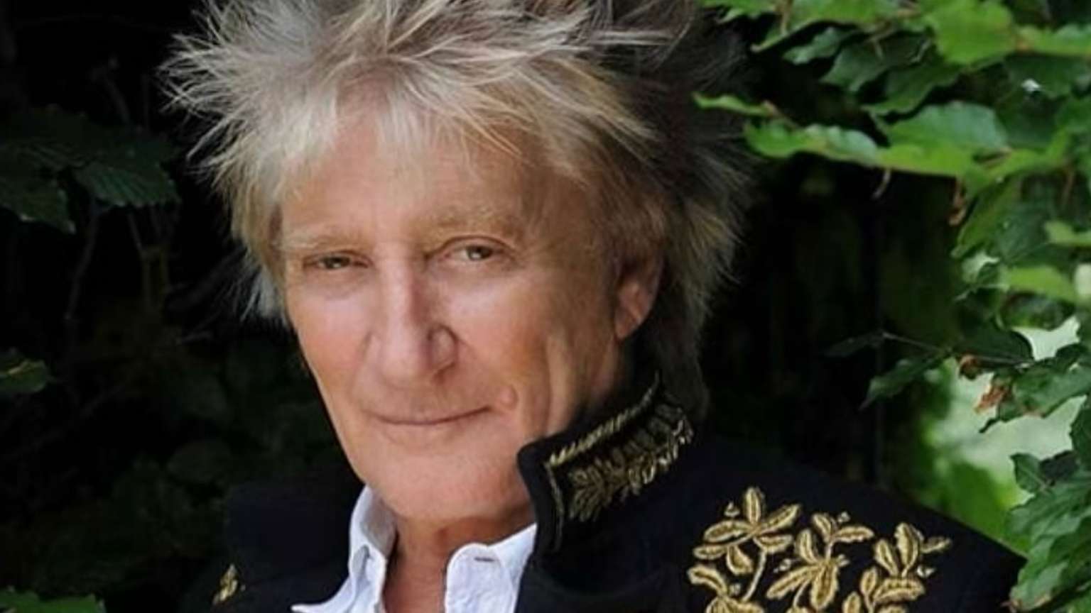 Rod Stewart fez desenhos obscenos em passaportes do McFly e criou confusão na imigração dos EUA