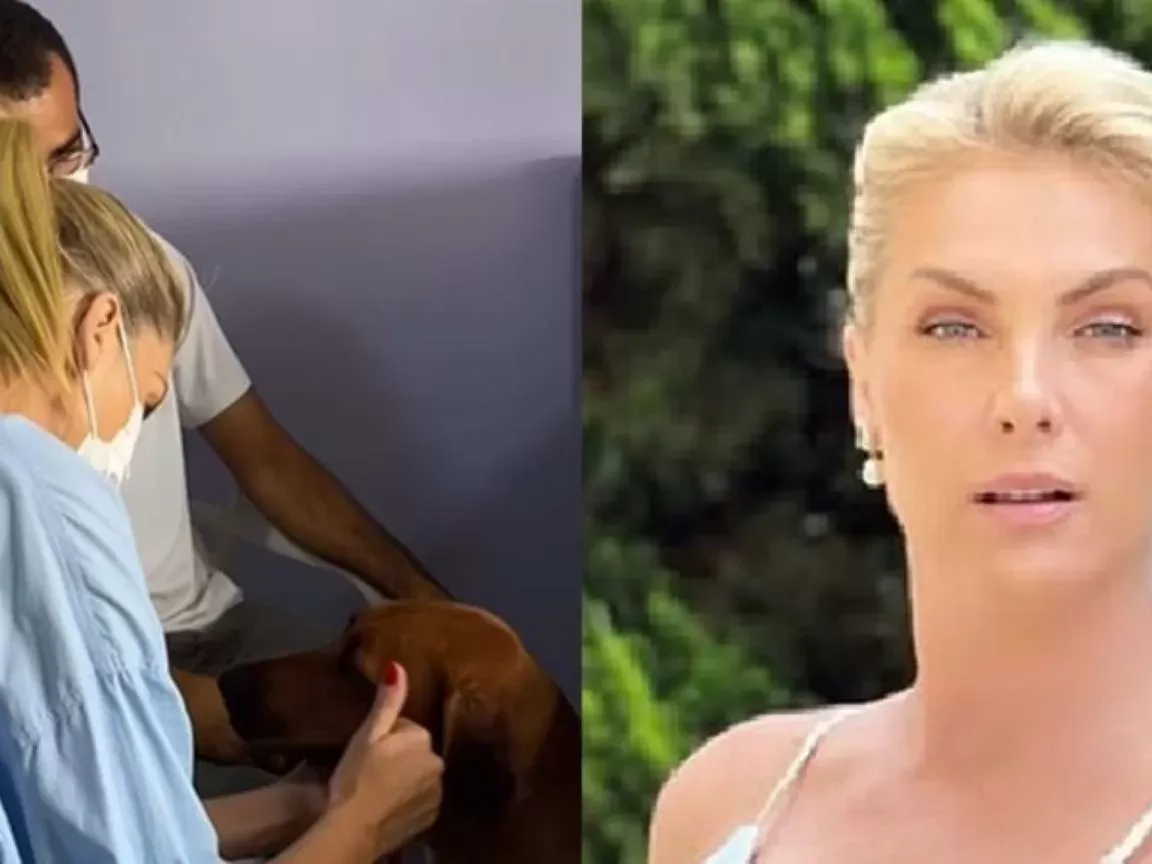 Ana Hickmann se despede de sua cachorra Aisha com declaração emocionante