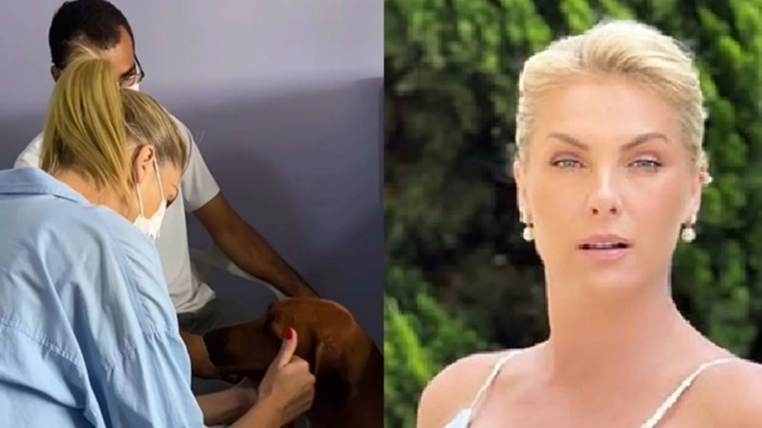 Ana Hickmann se despede de sua cachorra Aisha com declaração emocionante