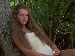 Brooke Shields revela cirurgia íntima não autorizada em novo livro de memórias
