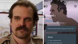 Lily Allen e David Harbour: término de casamento foi causado por suposta traição do ator