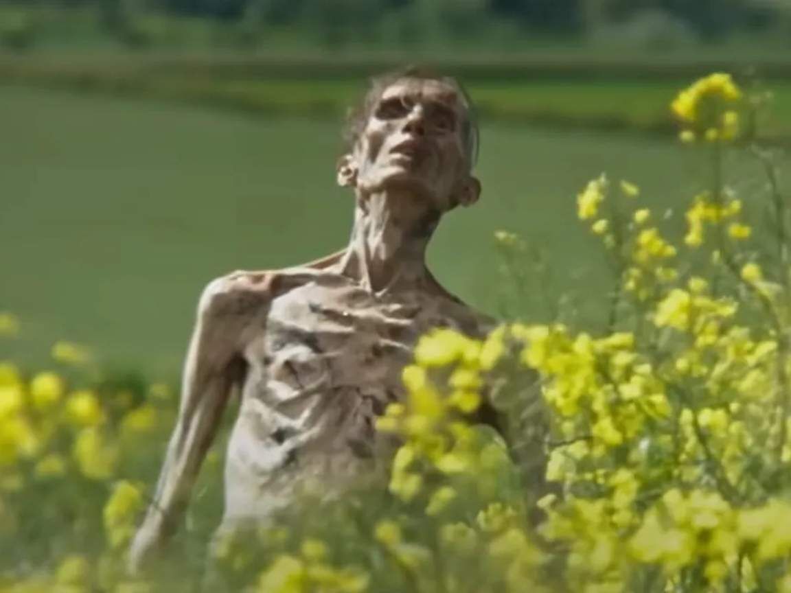 Extermínio: A Evolução - Danny Boyle revela detalhes da sequência