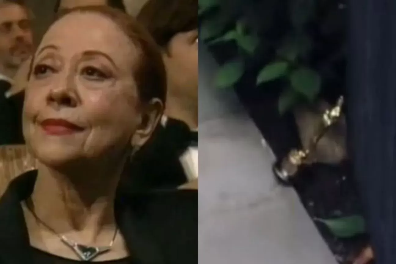 Gwyneth Paltrow usa Oscar como peso de porta, e brasileiros relembram derrota de Fernanda Montenegro