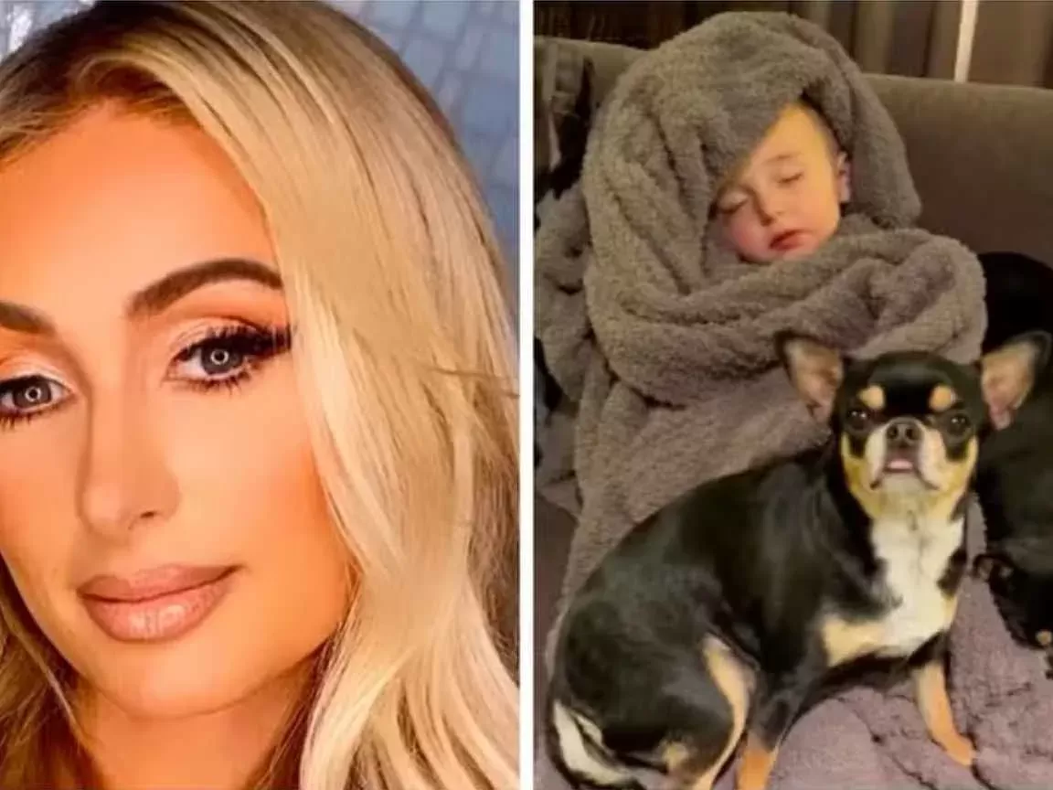 Paris Hilton exibe registro do filho com cachorros após perder mansão em incêndio na Califórnia