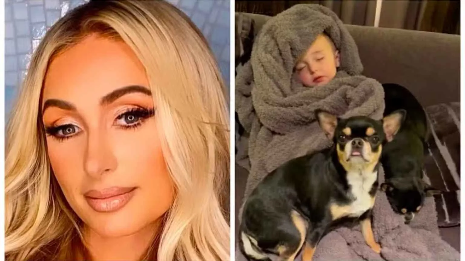 Paris Hilton exibe registro do filho com cachorros após perder mansão em incêndio na Califórnia