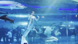 Sereia é atacada por peixe gigante durante show na China e vídeo viraliza