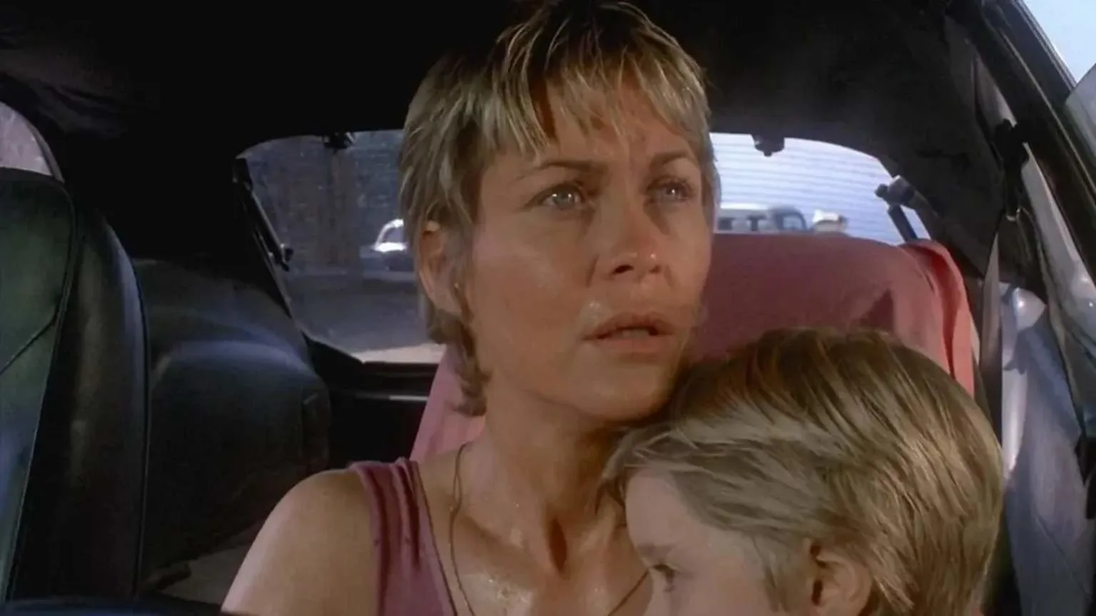 Netflix anuncia remake de Cujo, clássico de Stephen King