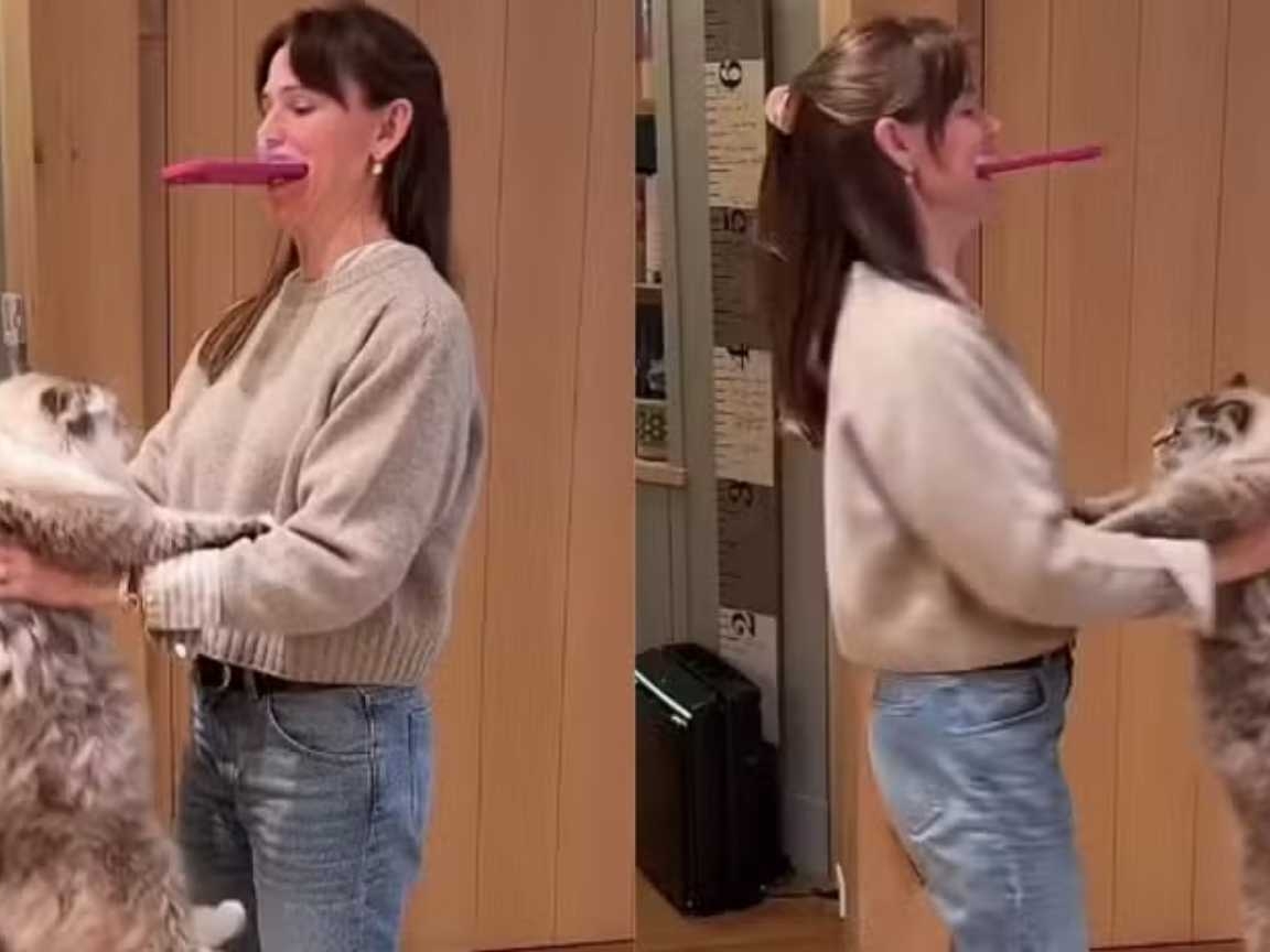 Jennifer Garner é acusada de maus-tratos após vídeo 