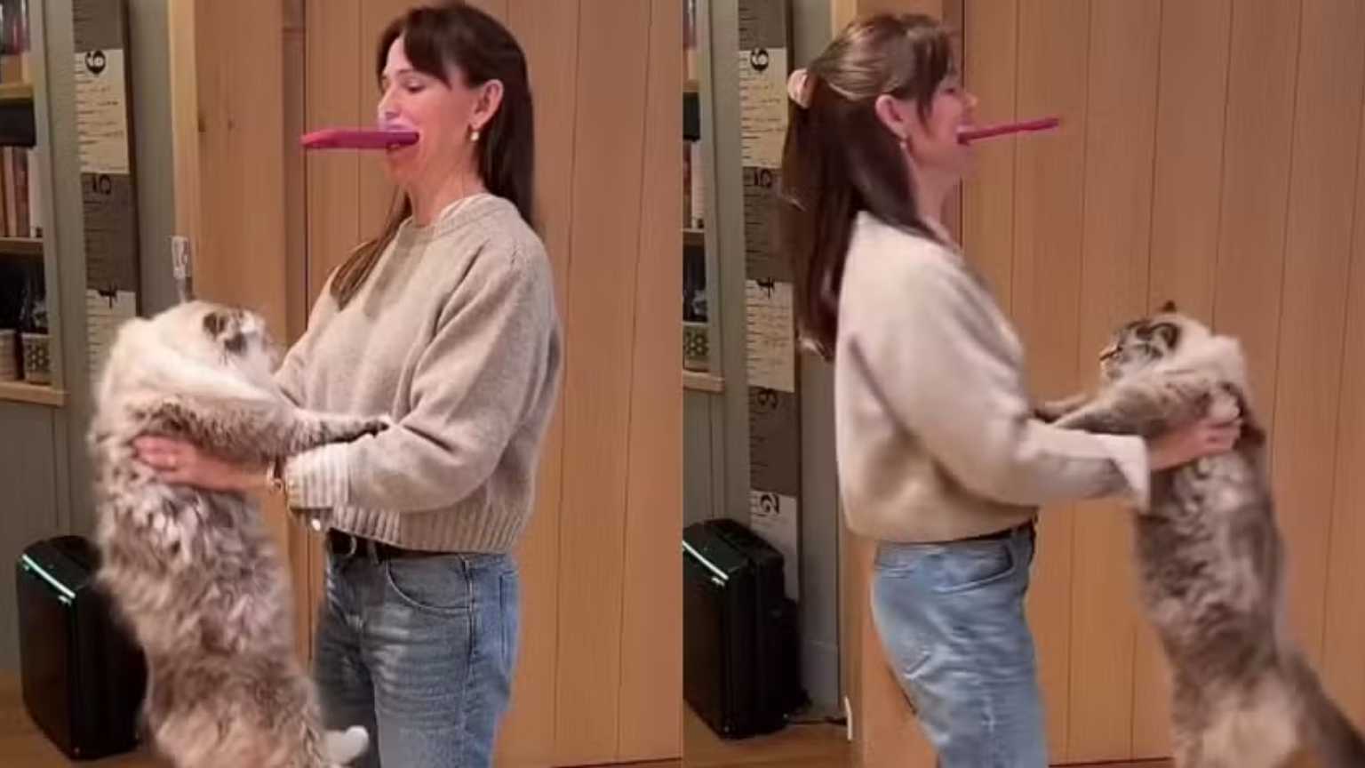 Jennifer Garner é acusada de maus-tratos após vídeo