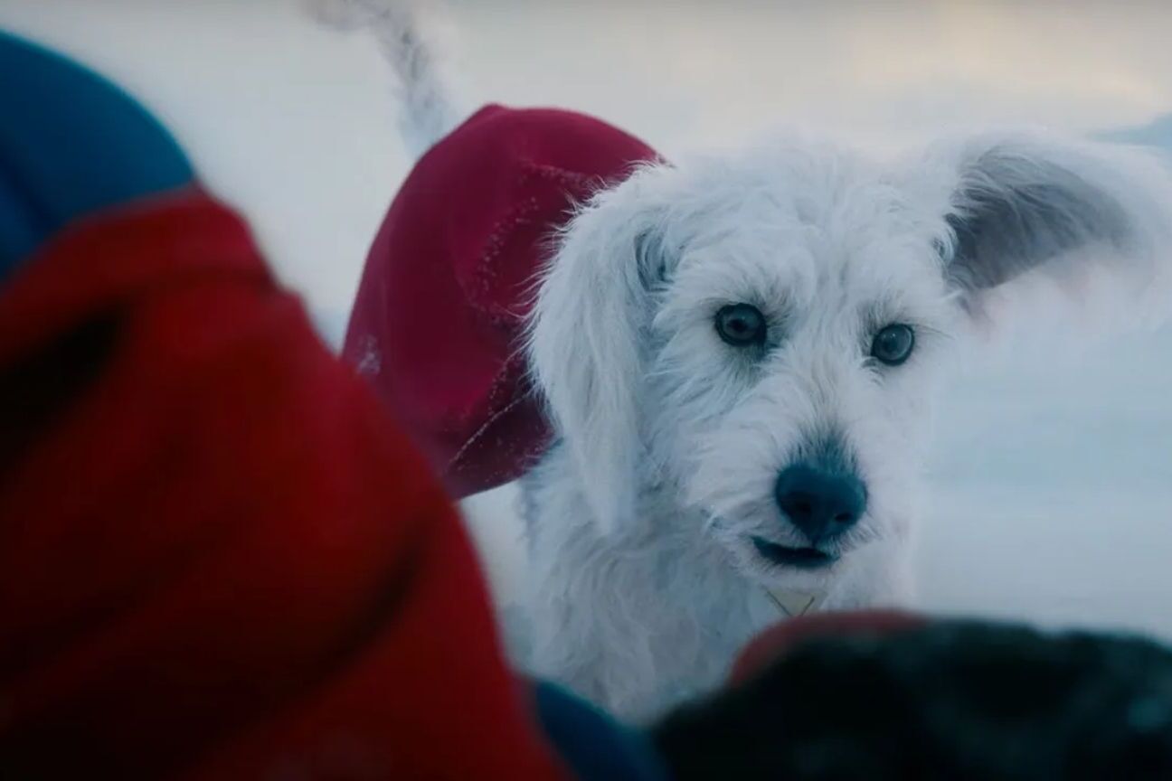 Superman: James Gunn revela novas cenas do filme após CinemaCon