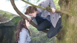 Kristen Stewart e Robert Pattinson viveram romance excêntrico após Crepúsculo: 'ele lambia minhas axilas'
