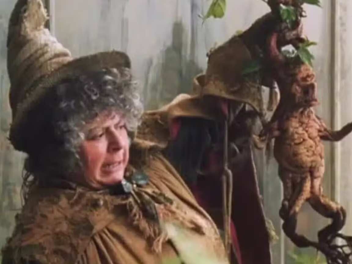 Aos 84 anos, atriz de Harry Potter comove fãs ao falar sobre fim da carreira e saúde frágil