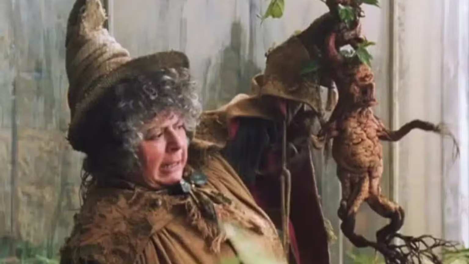 Aos 84 anos, atriz de Harry Potter comove fãs ao falar sobre fim da carreira e saúde frágil