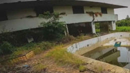 Abandonada, mansão onde viveu Hebe Camargo vai novamente a leilão judicial em São Paulo
