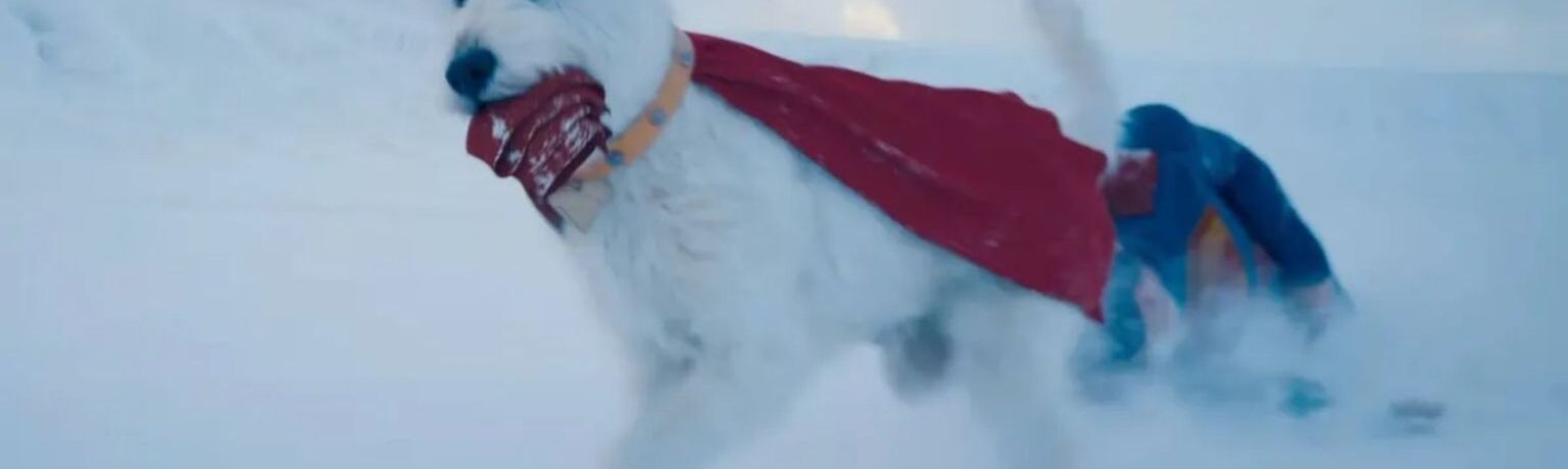 Krypto, o cão do Superman, é inspirado em Ozu, o cachorro de James Gunn — e ele 'reage' ao se ver na tela