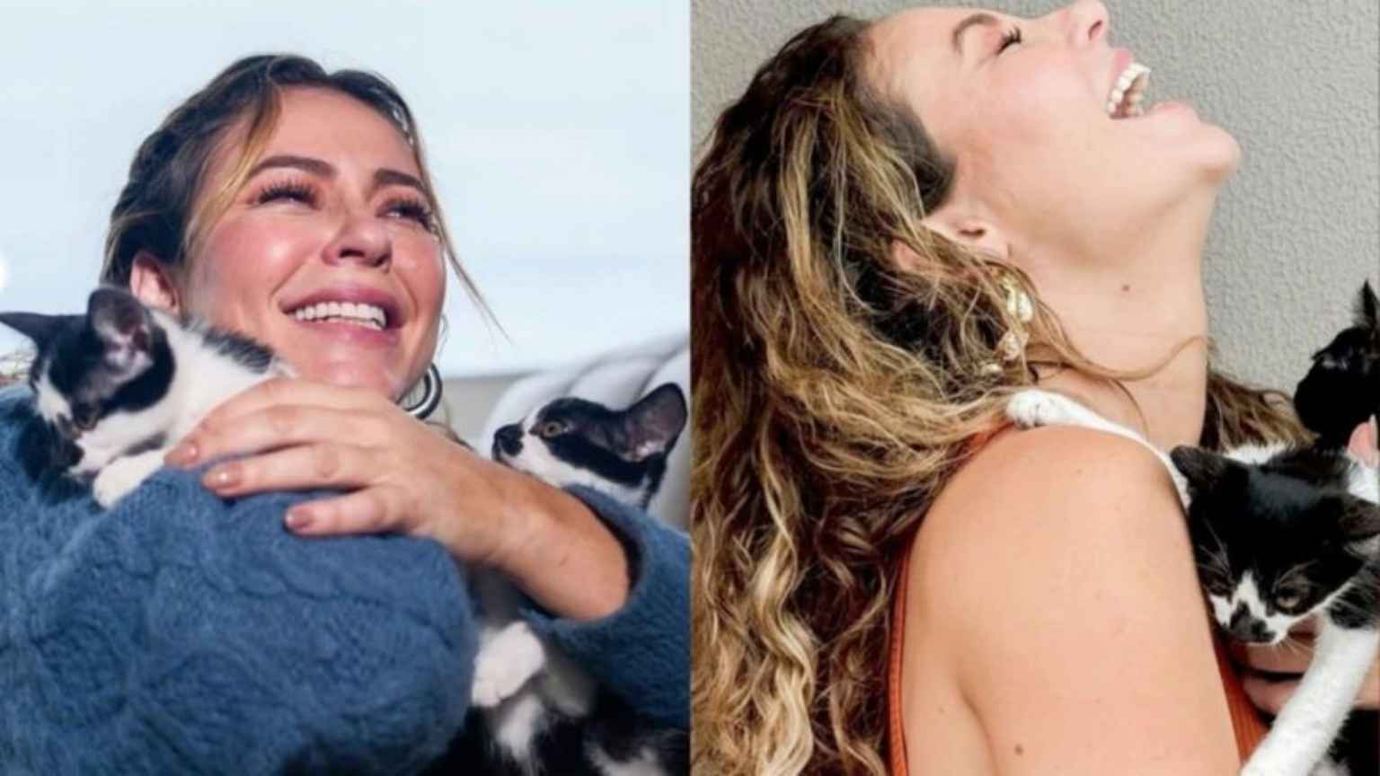 Paolla Oliveira adota 18 animais e fala sobre não querer filhos: 'No fim, quem mais ganhou fui eu'