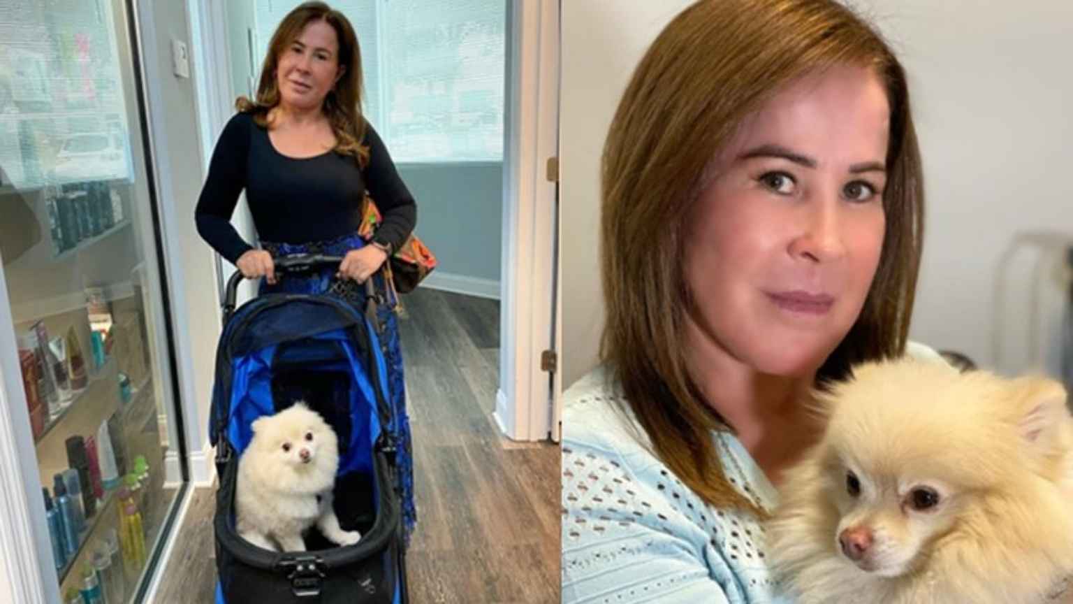 Zilu Camargo se despede do cão Bilu após 12 anos: 'Meu anjinho foi morar no céu dos cachorrinhos'