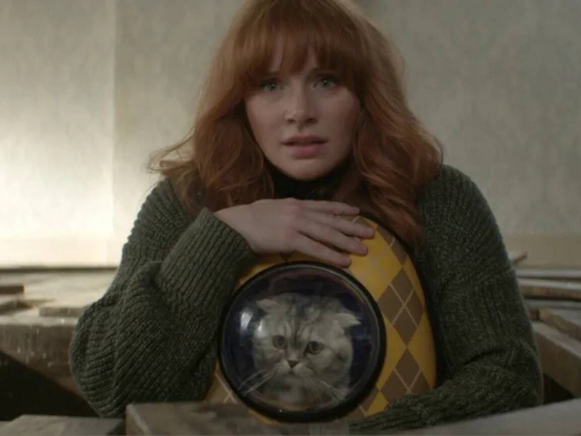 Bryce Dallas Howard sobre fracassos de bilheteria: 'Nunca fiquei chocada quando algo não dá certo'