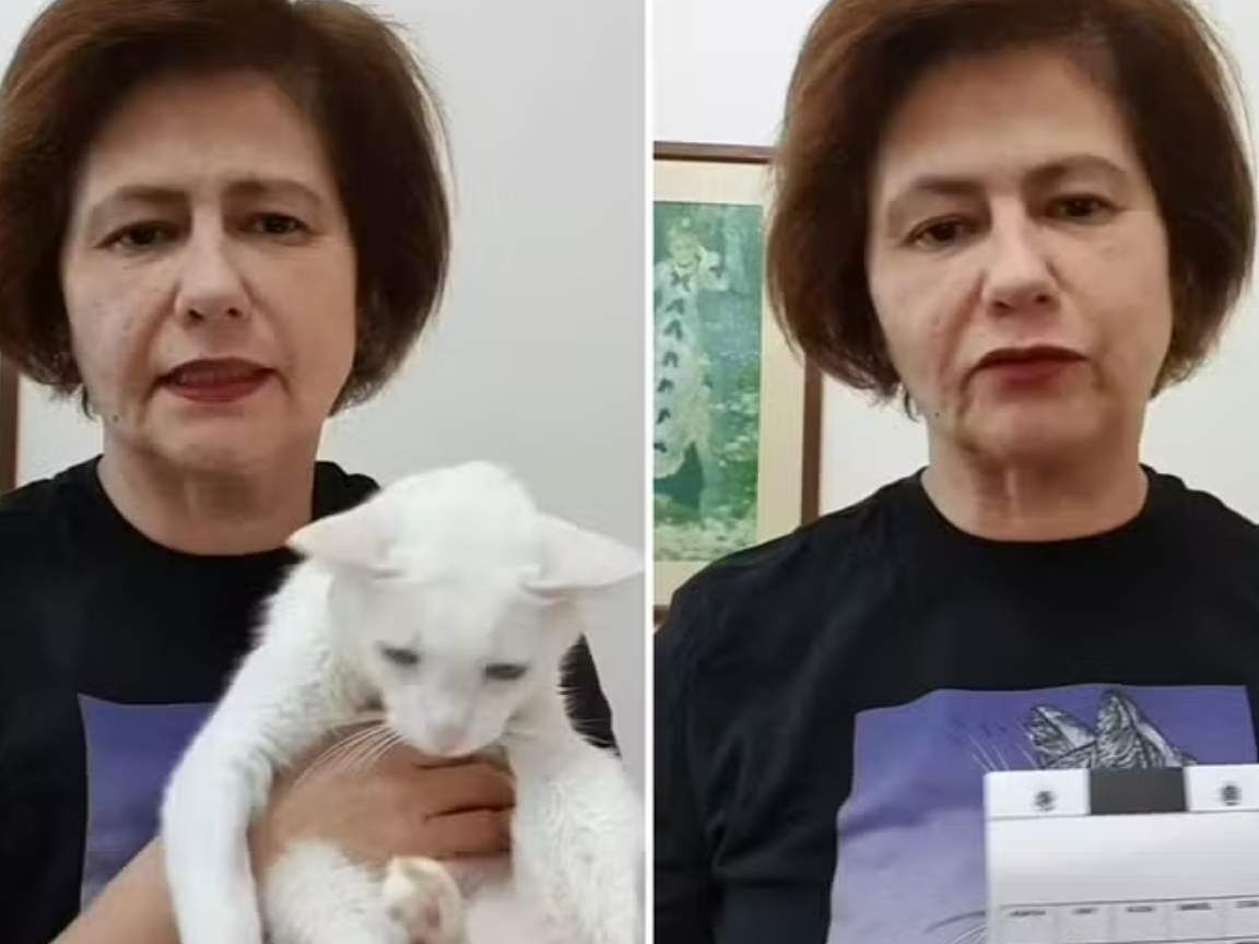 Narjara Tureta faz rifa para custear tratamento de seu gato: 'Não está fácil'