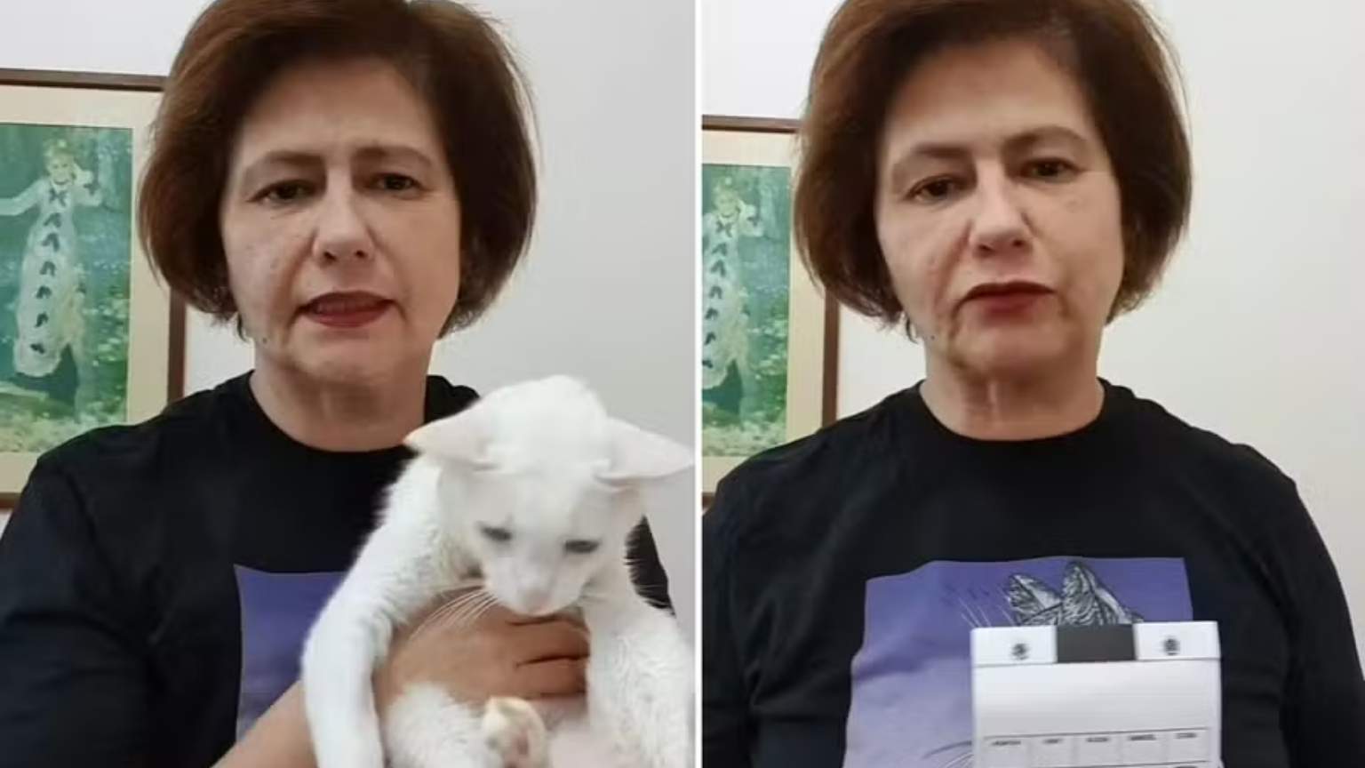 Narjara Tureta faz rifa para custear tratamento de seu gato: 'Não está fácil'