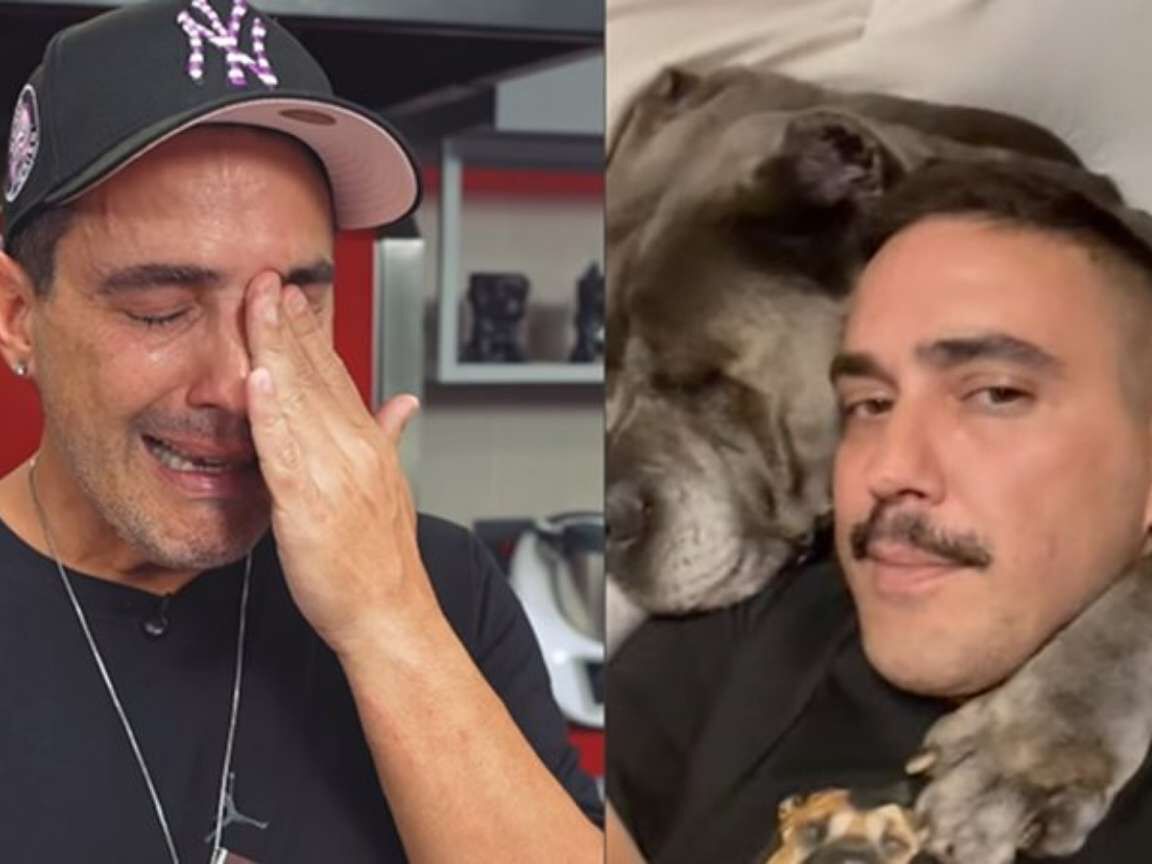 André Marques transforma cinzas da cachorra Gorda em joias e se emociona: 'Lembrança eterna!'