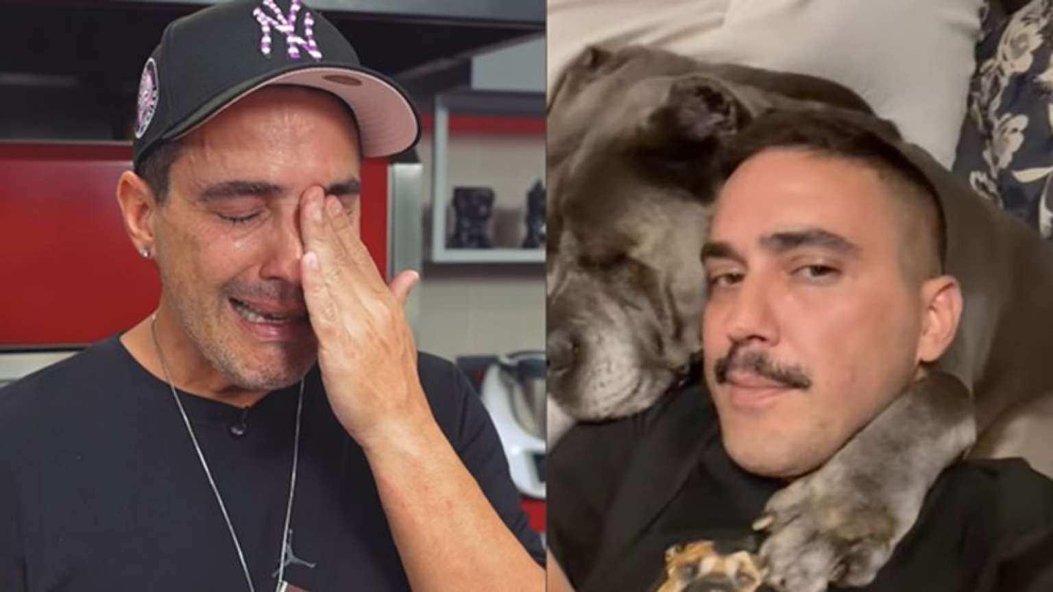 André Marques transforma cinzas da cachorra Gorda em joias e se emociona: 'Lembrança eterna!'