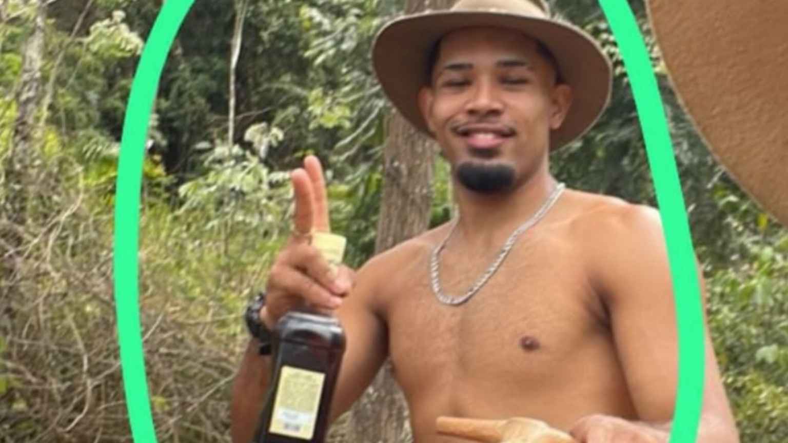 Suspeito de mutilar cavalo em Bananal se pronuncia: 'Foi uma covardia'