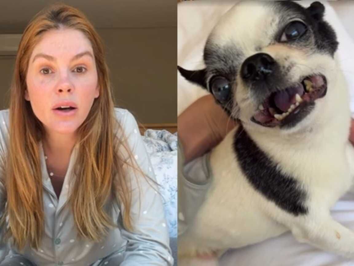 Bárbara Evans vive susto com cachorro que 'quase morreu' e relata desespero