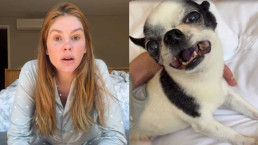 Bárbara Evans vive susto com cachorro que 'quase morreu' e relata desespero