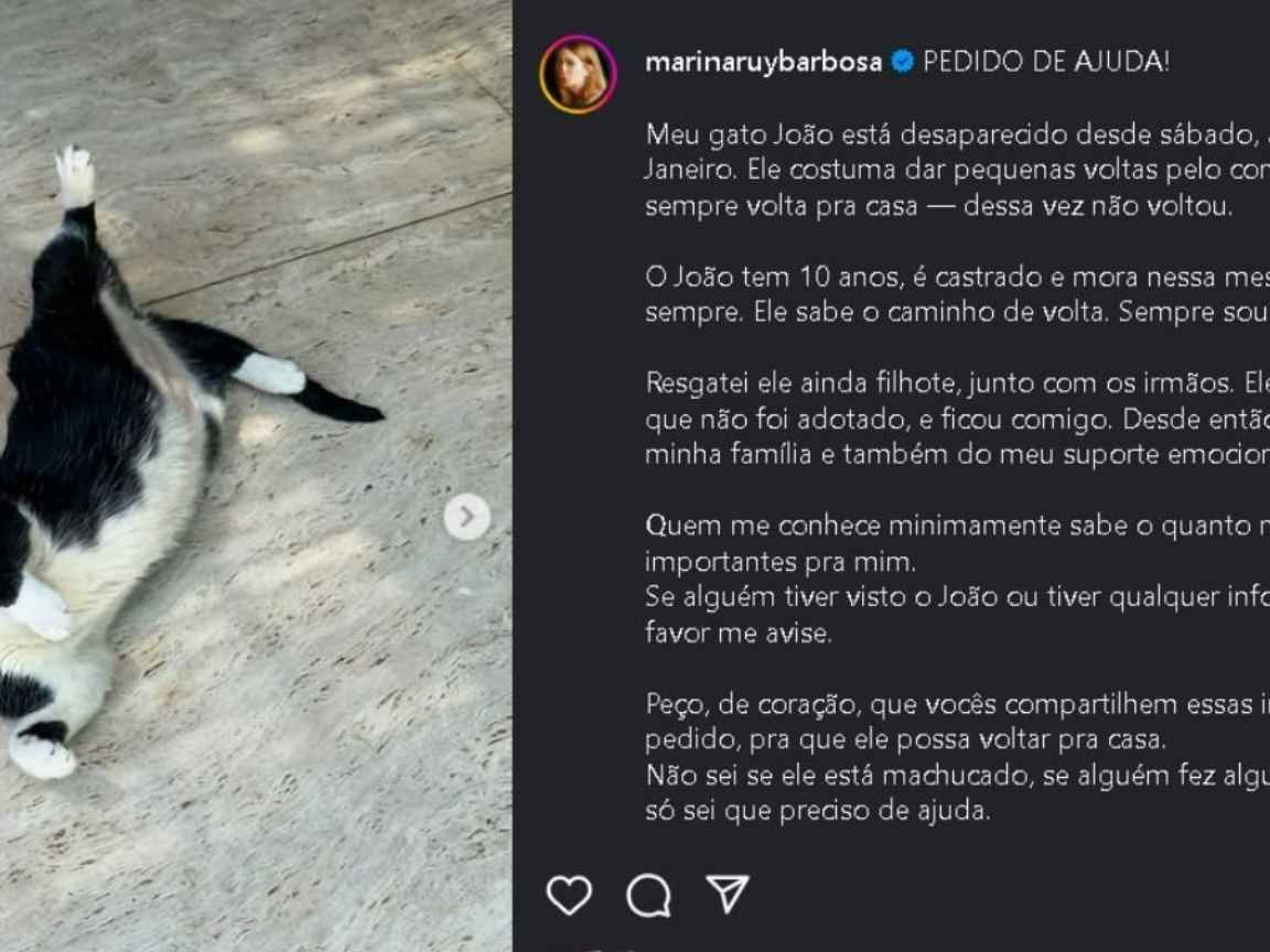 Marina Ruy Barbosa faz apelo para encontrar gato desaparecido: 'Preciso de ajuda'