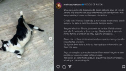 Marina Ruy Barbosa faz apelo para encontrar gato desaparecido: 'Preciso de ajuda'