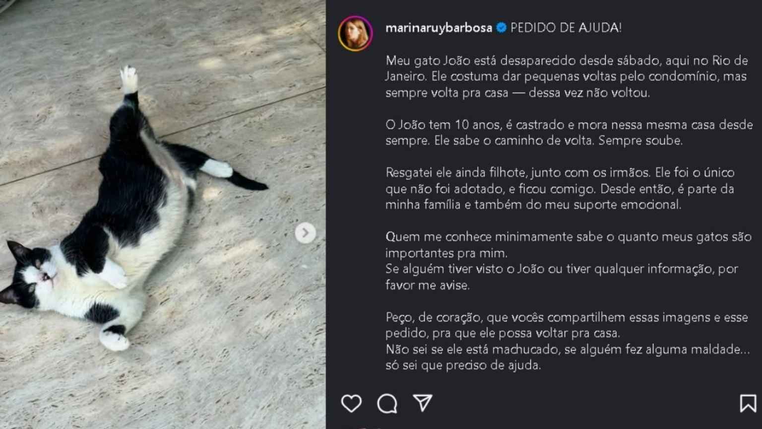 Marina Ruy Barbosa faz apelo para encontrar gato desaparecido: 'Preciso de ajuda'