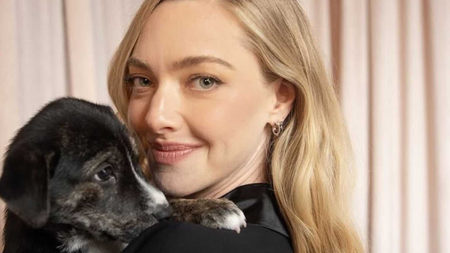 Amanda Seyfried esclarece polêmica após chamar Charlie Kirk de 'odioso'