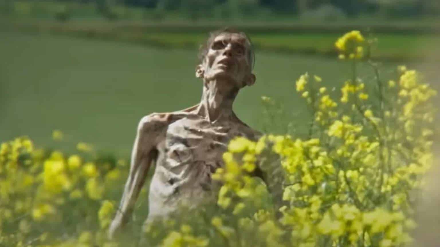 Cillian Murphy reage a sósia zumbi e confirma retorno em novo 'Extermínio'
