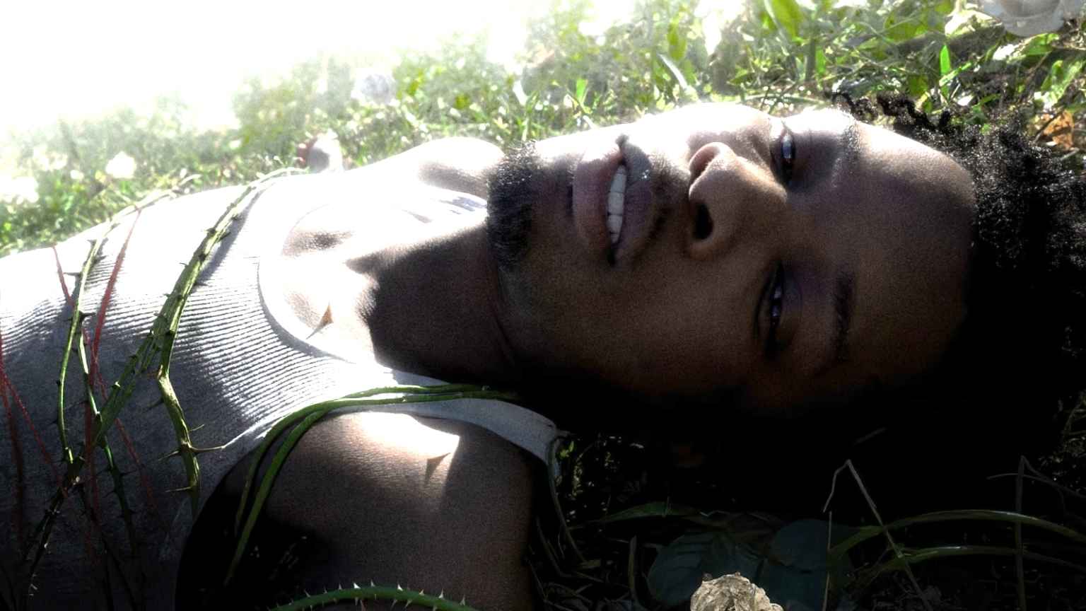 Cantor d4vd cancela turnê após corpo ser encontrado em seu carro