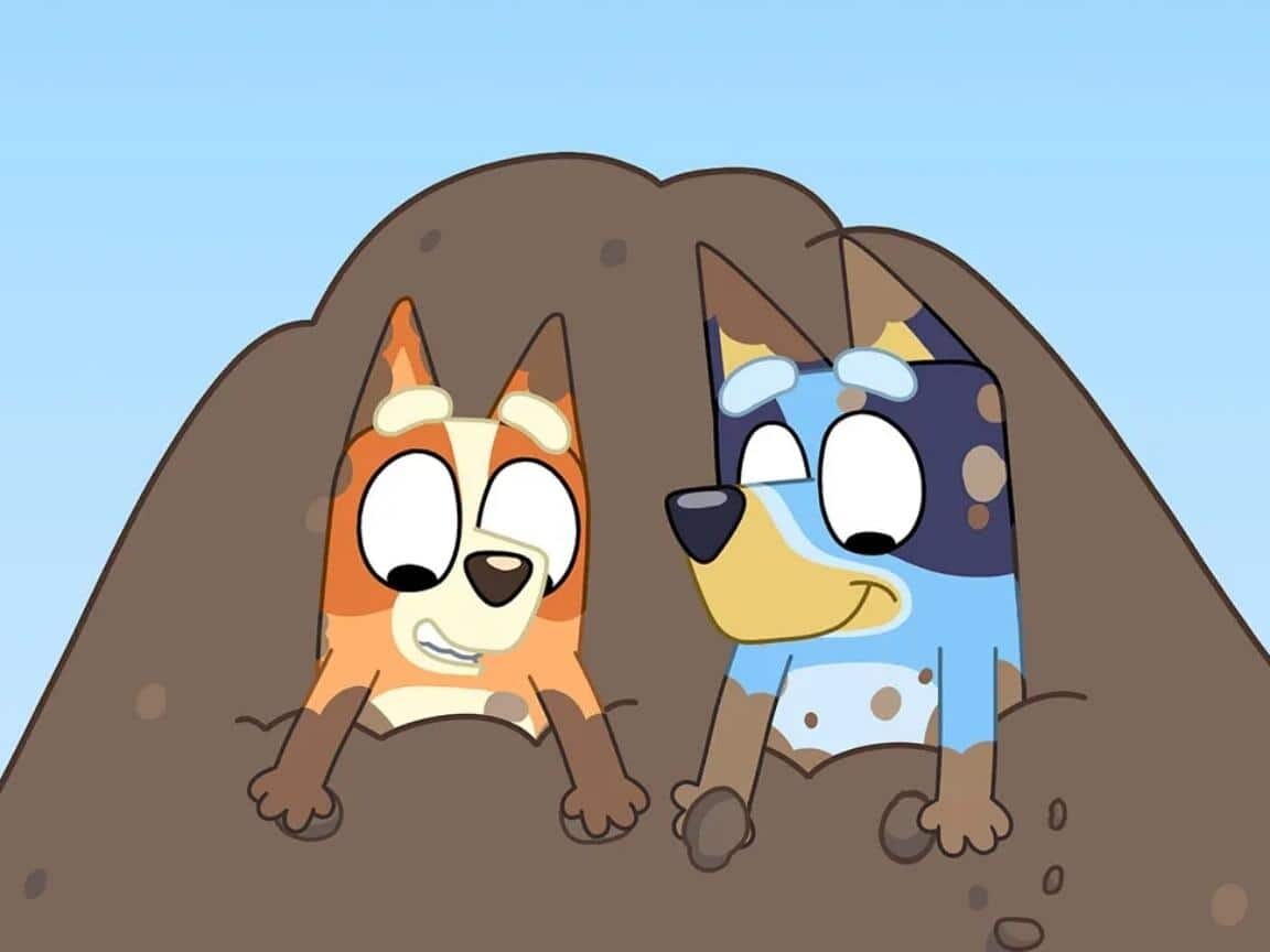 Austrália vai exigir que Netflix e Disney+ invistam em conteúdo local